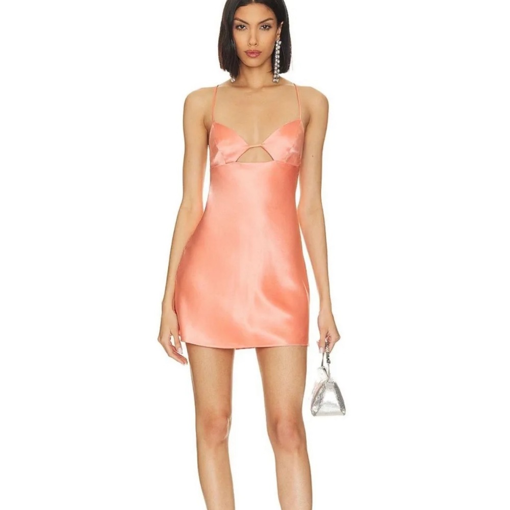 Retrofete mini dress NWT